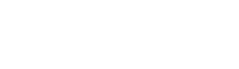 IONOS Partner